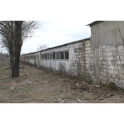 Ферма на продажу в Молдове фото