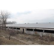 Продажа бизнеса- продажа фермы фото