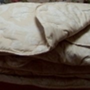 Одеяла из овечьей шерсти фото