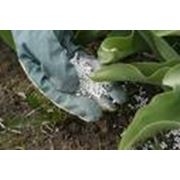 Средства защиты растений средства защиты растений в казахстане средства защиты растений в алмате фото