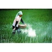 Реализация пестицидов фотография