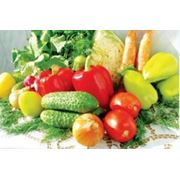 Удобрения для овощей фото