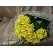 Желтые Розы фотография