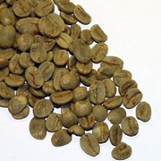 Зеленый кофе из Никарагуа фото