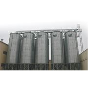 Зернохранилища Ilpersa в Астане Казахстан фото