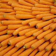 Продажа свежей моркови фотография