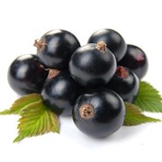 Ягоды,черная смородина,купить черную смородину,Киев, Житомир,Украина фото