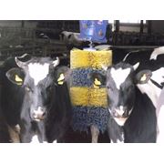 Чесалки для коров фото