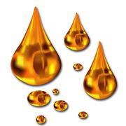 Utilaj pentru producerea uleiului din soia raps floarea soarelui фото