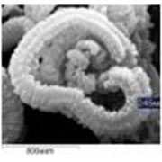 Сорбент Ливсор-С для сбора нефтепродуктов фото