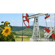 Сорбент Ливсор-С для устранения разливов нефти и нефтепродуктов фото