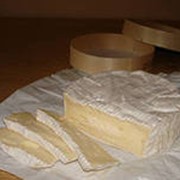 Сыр молочный фото
