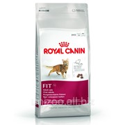 Сухой корм для кошек Royal Canin Fit 32 (Роял Канин Фит 32) 0,4 кг фото