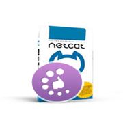 Создание сайта на базе NetCat