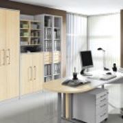 Мебель для домашнего кабинета из Германии фото