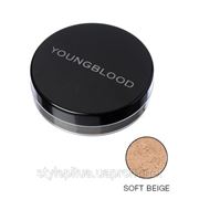 Youngblood Натуральная рассыпчатая минеральная основа Youngblood Модель: 125211_5005 фото
