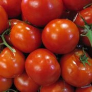 Семена томатов Фараон F1 фото