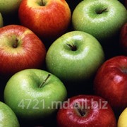Яблоки в Молдове фотография