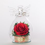 Роза в стекле tm FIORA AnM-Rr 34633