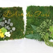Картины из мха и растений, цветы, флористика фото