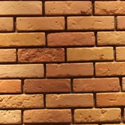 Кирпич Шишка оранжевый на белом цементе фотография