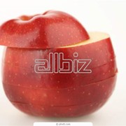 Яблоки сорта Айдаред (Idared) поставки оптом от 250 т. фотография
