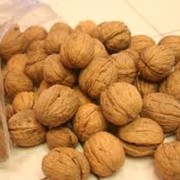 Орехи грецкие Луганская область,купить,цена