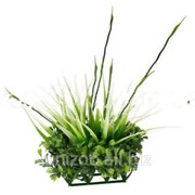 Растение пластиковое Hagen Marina Fluval Chi Boxwood & Tall Grass Ornament (Пучок) фотография