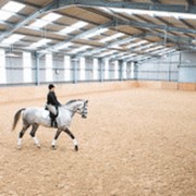 Сухой песок ремикс для конного спорта фото