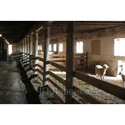 Продажа животноводческой фермы в Украине