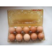 Упаковка под куриное яйцо на 10 гнезд