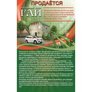 Гостинный двор Гай фото