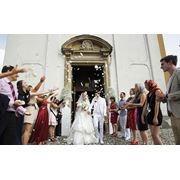 Свадьба в Италии! фотография