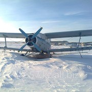 Самолёт Ан-2 с/х фотография
