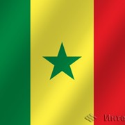 Флаг национальный Сенегал фото