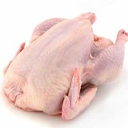 Крыла куриные охлажденные, голень, окорока, фарш, мясо фотография