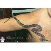 Татуировка змея фото