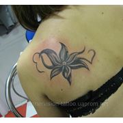 Татуировки цветов в Днепропетровске фото