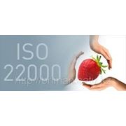 Разработка и внедрение ISO 22000 фотография