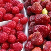 Клубника, малина свежая (ягоды) оптом,экспорт