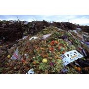 Утилизация пищевых отходов в Казахстане Утилизация пищевых отходов Утилизация отходов МВ Арна ТОО МВ Арна фото