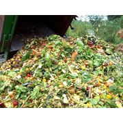 Утилизация пищевых отходов фотография