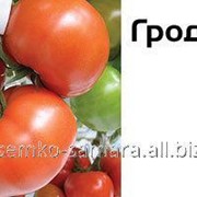 Семена томатов Гродена F1 фотография