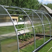 Теплица Сибирская Премиум, КРАБ труба 40х20 8метров. фото