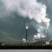 Варка целлюлозы фото