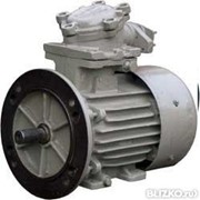 Крановый электродвигатерль с короткозамкнутым ротором марка 5МТКН 312-6 фотография