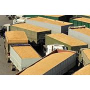 Экспорт любых видов сельскохозяйственной продукции фото