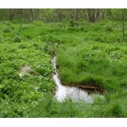Инженерные гидроэкологические изыскания Микробиологическое обследование грунтов и воды оценка санитарно-химического загрязнения воды и грунта