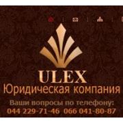 Юридическая компания Ulex фото