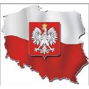 Регистрация предприятий в Польше фото